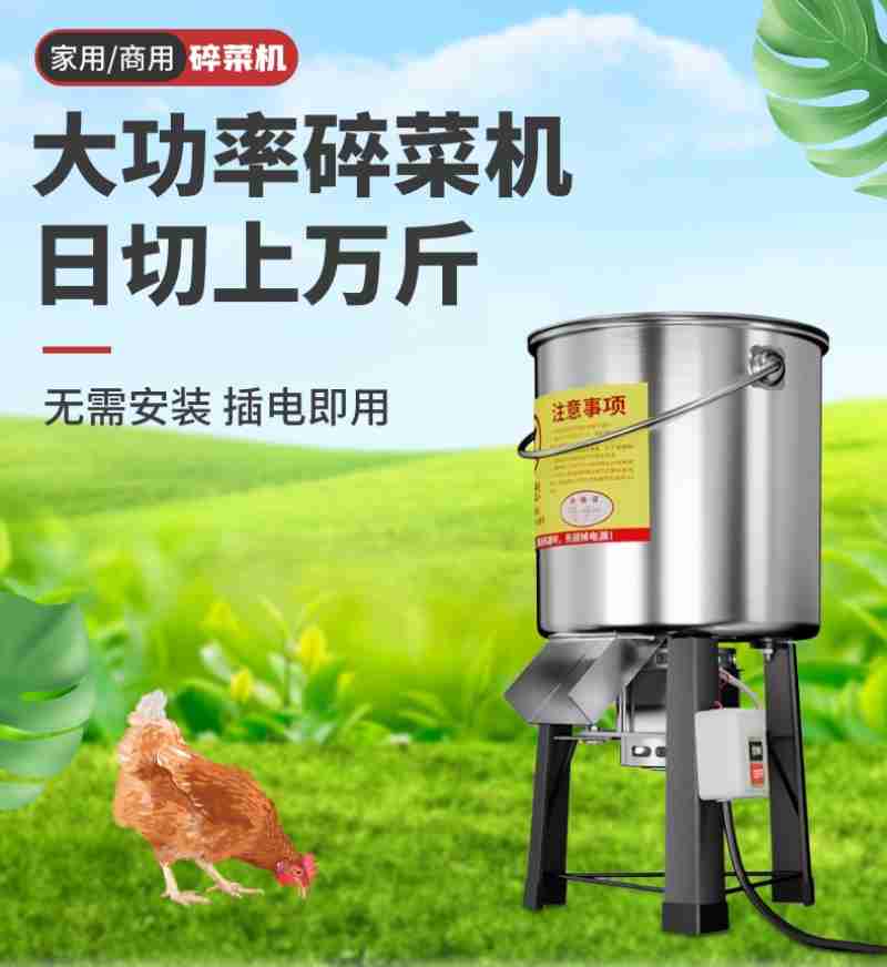 广州流花湖内,夏荷盛开。南方+记者 王俊涛 张令 刘力勤 摄